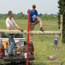 Melhor Preço Farm Fence &amp; Safety Mesh Fence